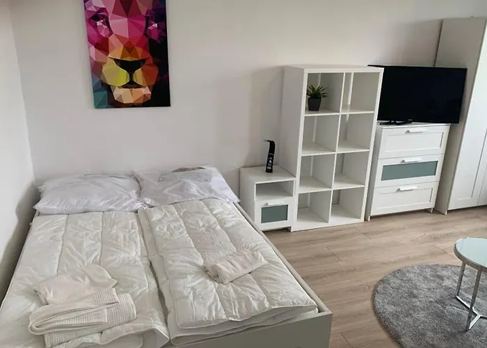 1 Zi-Whg, Netflix, Wifi, Kueche, 15Min Zum Zentrum